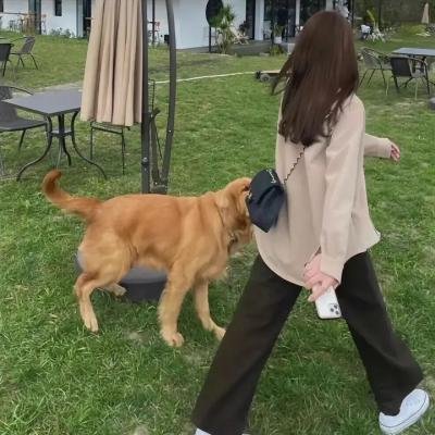 空难风暴
